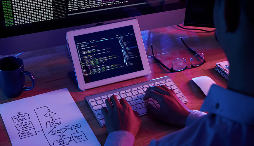 IT professional programming